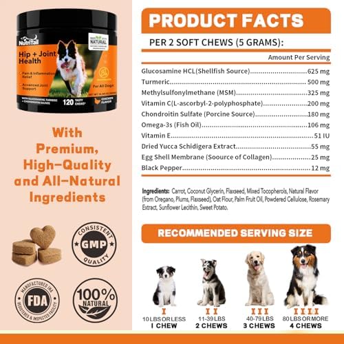 Hip & Joint Health Soft Chews for Dogs – Glucosamine, Turmeric, Omega-3 & Chondroitin – Natural Joint Supplement for Mobility, Pain & Inflammation Relief – Chicken Flavor, 120 Soft Chews