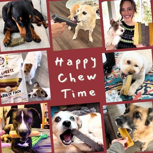 Majestic Pet Himalayan All-Natural Cheese Dog Chews - Long Lasting Dental Chew for Dogs - Healthy Pet Treats with Beneficial Ingredients (Digestive & Immune Support, Regular, 5 Pack)