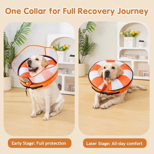 Avont 2-in-1 Dog Cone M+ Swimring Shield