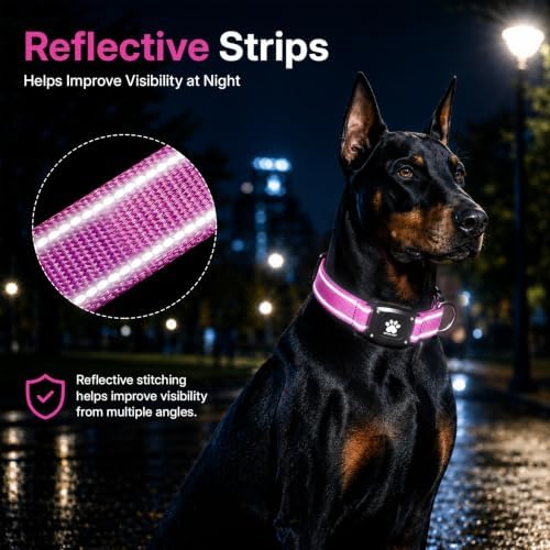 GPS Dog Collar with Tracker, Waterproof, No Monthly Fee, Hot Pink, XS | Works with Apple Find My, iOS Only, MFi Certified, No SIM Card, for Small Dogs, Reflective Padded Nylon, Neck 10.5-13.5 in