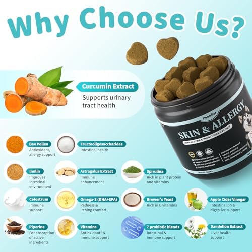 Dog Allergy Relief Soft Chews - Skin & Gut Health, Beef, 90 Count
