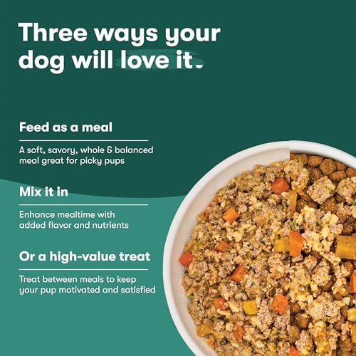 Jinx Premium Grain-Free Dry Dog Food, for All Lifestages - Grass-Fed Lamb, Sweet Potato & Carrot Dog Food with Superfoods for Immune Support & Probiotics for Digestive Support - No Fillers - 4lb