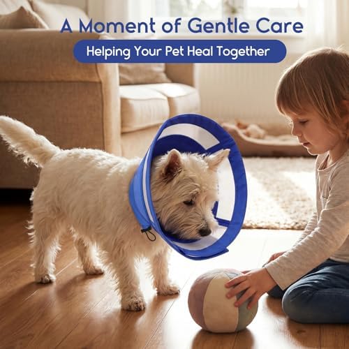 ASENKU Dog Cone Collar, Protective Recovery Dog Collar After Surgery, Comfy Adjustable Cone for Dogs to Stop Licking, Pet E-Collar for Small, Medium & Large Dogs(Blue, XL)