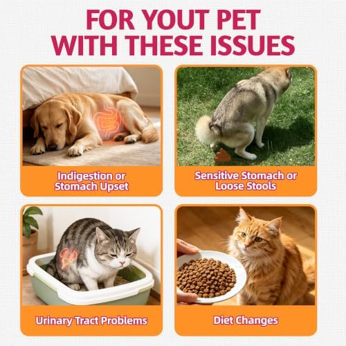Just Try Pumpkin & Cranberry Powder for Dogs Digestive Support 6.35 oz
