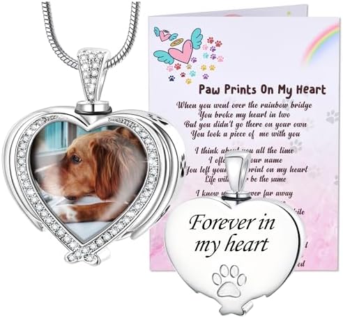 Fanery Sue Pet Ashes Necklace for Dog Cat, Custom Photo & Text