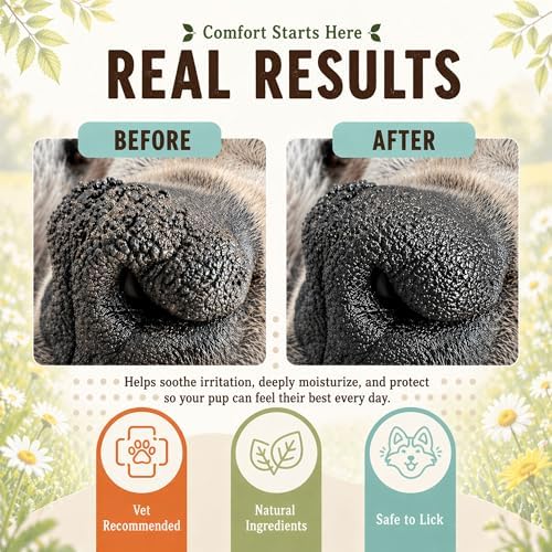 Natural Dog Company Snout Soother Dog Nose Balm – Moisturizer for Dry Crusty Noses, Summer Care for Outdoor Dogs, Hot Weather, Beach Days & Walks with Coconut Oil & Shea Butter, 2 oz Tin (Pack of 2)