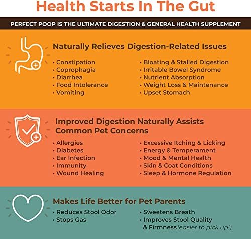 Bernie's Perfect Poop 4-in-1 Dog Digestion Supplement, Cheese, 4.2 oz