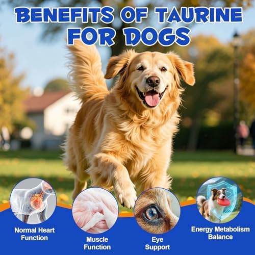 Taurine Powder for Dogs, 200g High Purity Taurine Supplement for Heart, Vision & Digestive Support, Unflavored Amino Acid Powder for Homemade & Raw Diets, Easy to Mix Daily Nutrition