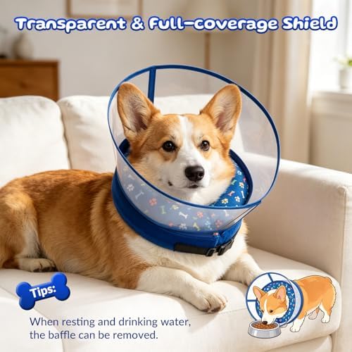 2-in-1 Inflatable Dog Cone Collar, Transparent Anti-Licking Shield with Detachable Soft Padding, Adjustable Elizabethan Collar for Small, Medium, Large Dogs and Cats (M)