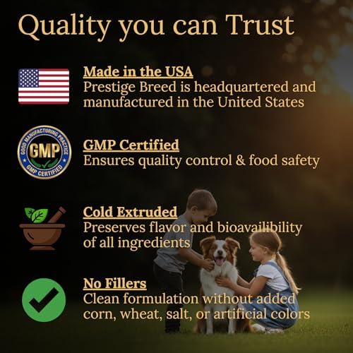 Border Collie Multivitamins, 90 Count, Made in the USA with Real Bacon