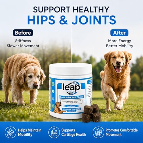 Dogs Suplements Hip & Joint - Krill Oil and Glucosamine Soft Chews, Joint Supplement for Dogs with Krill Oil,Glucosamine, Chondroitin, MSM, Turmeric, Anti Inflammatory, Mobility (Beef 90ct)