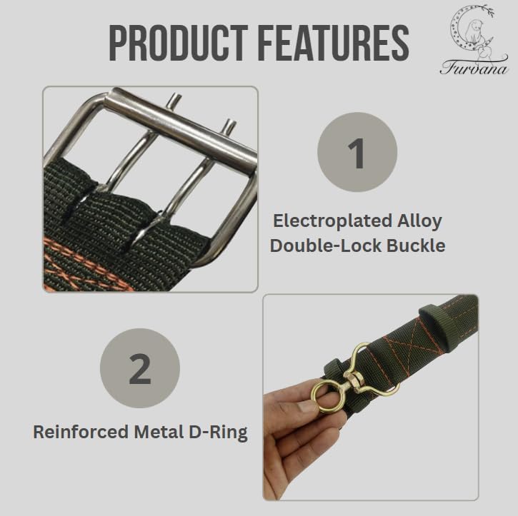 Tactical Heavy Duty Nylon Dog Collar for Large & Medium Dogs - Includes AirTag Compatible Case - Double-Lock Buckle & Reinforced D-Ring (Green, Small: Width = 1.2"; Neck = 11" - 15")