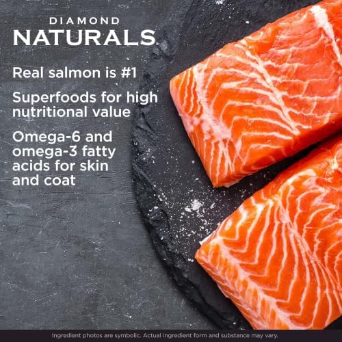 Diamond Naturals Skin & Coat Puppy, Adult & Senior Dry Dog Food Salmon 15lb