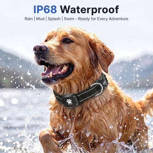 GPS Dog Collar with Tracker, Waterproof, No Monthly Fee, Black, M | Works with Apple Find My, iOS Only, MFi Certified, No SIM Card, for Medium Dogs, Reflective Padded Nylon, Neck 14.5-19.5 in