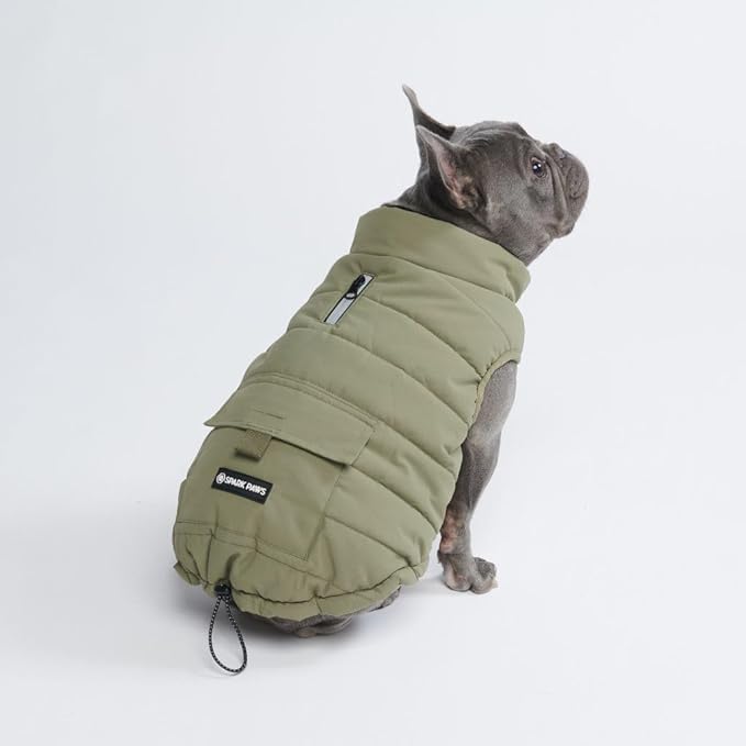 Spark Paws Dog Winter Jacket, Water-Resistant Coat, Warm Reflective Windproof Fleece-Interior, for Medium and Large Dogs - Olive - XL