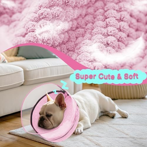 Inflatable Dog Cone with Clear Shield for Added Coverage