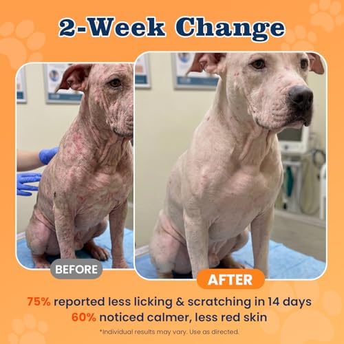 Dog Allergy Chews-120 Crunchy & Creamy Chews, anti-Allergy & Itching Skin Relief Bites Immune Support, with Omega 3 Fish Oil Probiotics for Seasonal All Issues Allergies Made in USA Chicken Flavor