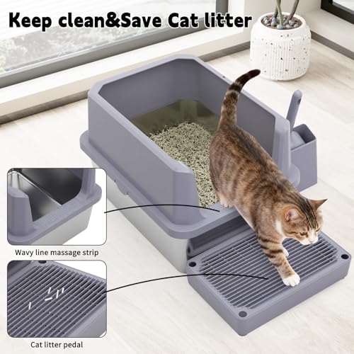 RIZZARI Cat Litter Box Non-Porous: Open High Sides for Indoor Cats