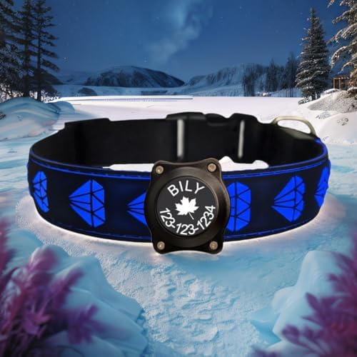 Personalized Dog Collar Waterproof airtag Dog tag Holder,USB C Light up Night Black Dog Collar (Black, M(11.8-15.7"))