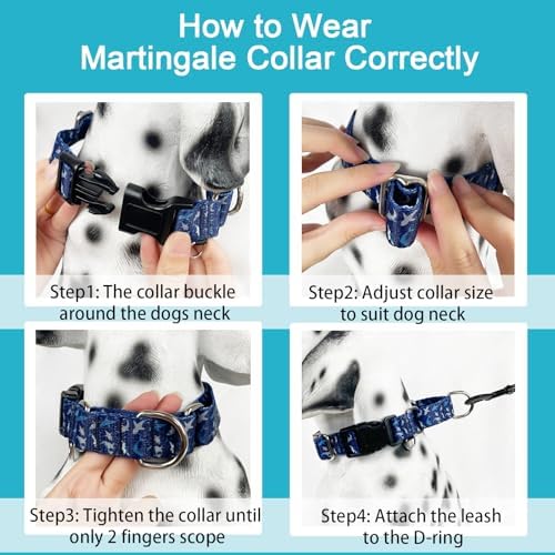 Martingale Collar for Dogs with Buckle Heavy Duty Boy Dog Collar for Medium Dogs, Deep Blue Shark