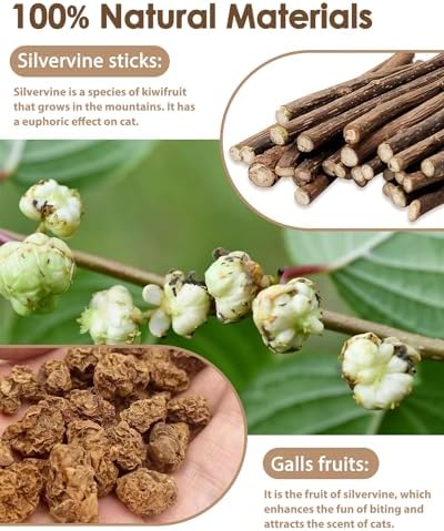 Tocirelo Natural Silvervine Chew Sticks for Cats with Catnip and Feathers