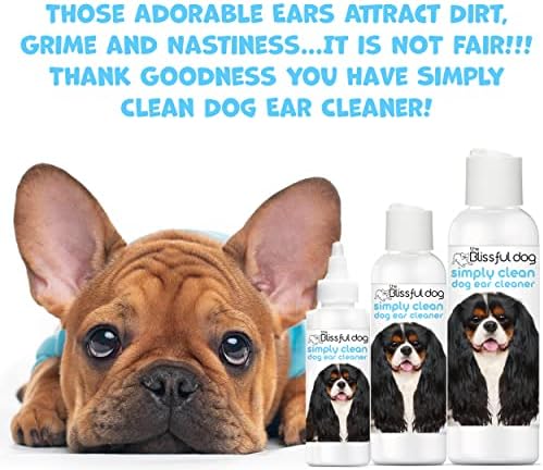 The Blissful Dog Blissfully Fresh Ear Cleaner for Your Dog, 8-Ounce