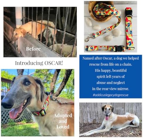 Lucky Love Dog Martingale Collar for Large Dogs No Slip Cute – Oscar, Large