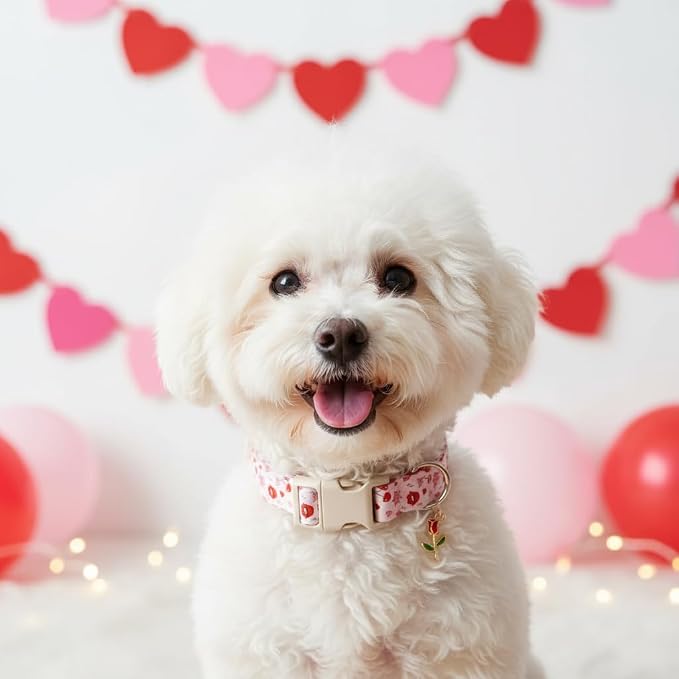 Dog Collar for Medium Dogs, Girl Dog Collars with Kisses Pattern, Cute Pet Collar with Soft Fabric and Quick Release Buckle, Adjustable for Medium Dogs