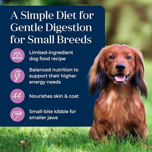 Blue Buffalo Basics Turkey Small Breed Adult Dry Dog Food, 4 lb