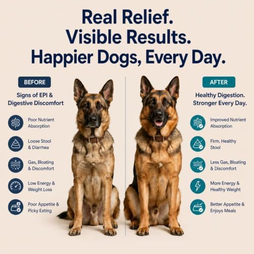 Pancreatic Enzymes for Dogs – 10X High Potency Porcine Pancreatin Digestive Enzyme Powder with Amylase, Protease & Lipase – EPI Support, Digestion & Nutrient Absorption – 340g