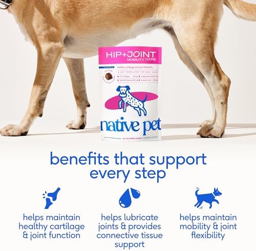 Native Pet Joint Care & Pain Relief Bundle: Hip & Joint Supplement for Dogs - Helps Maintain Healthy Cartilage & Flexibility - Pain Relief for Dogs with Collagen to Promote Bone Health - 60 Count