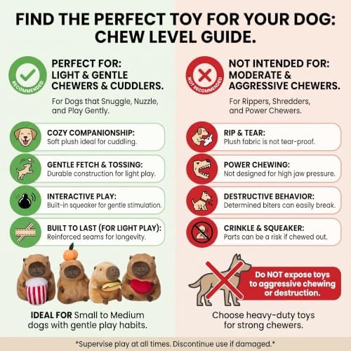 SPOT Capybara with Heart Plush Dog Toy, Soft Stuffed Squeaky & Crinkle Toy for Calm and Gentle Play, Adorable Capybara, for Light Chewers and Small Dogs, 8 Inch