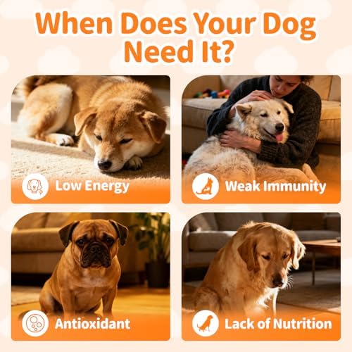 Dog Multivitamin Powder – Energy, Gut & Immune, Chicken 75 Scoops