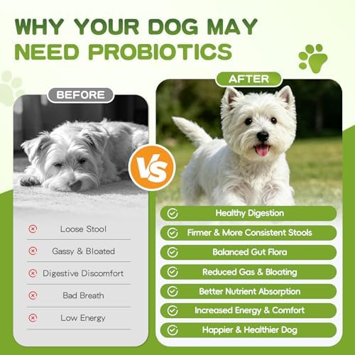 150 PCS Probiotics for Dogs, Dog Probiotics for Digestive Health and Diarrhea, Allergies & Immune Support Dog Probiotic Supplement, Daily Probiotics for All Dogs, Natural Duck Flavor