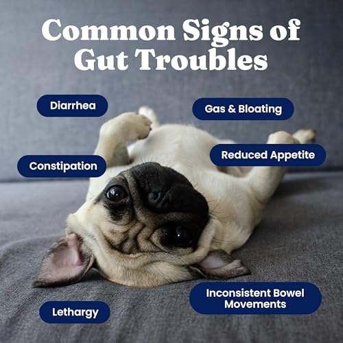 Solid Gold Dog Probiotics Chews for Digestive Health & Gut Support, 120ct