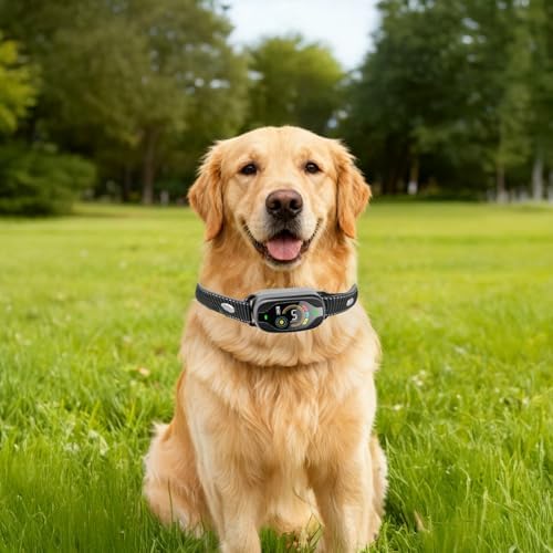 Rechargeable Bark Collar, Smart Anti Barking Device with Color Display, 25 in / 63.5 cm Reflective Nylon Strap, 5 Sensitivity Levels Dogs, Black