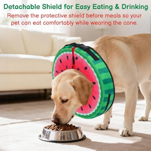 Dog Cone, No-Inflation Sponge Donut Collar for Dogs After Surgery