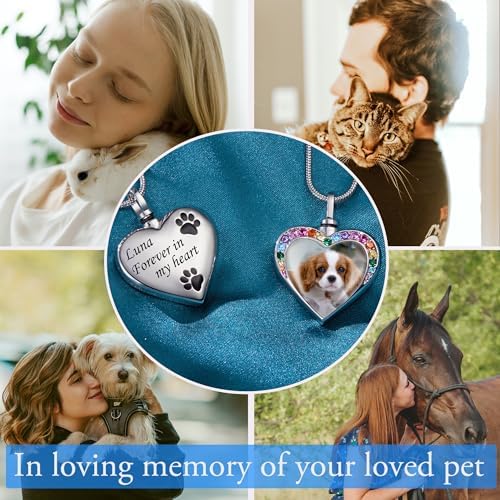 Fanery Sue Pet Ashes Necklace for Dog Cat, Custom Photo & Text