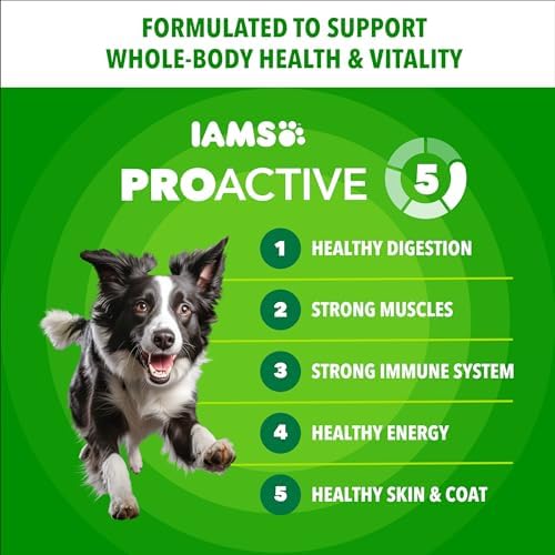 IAMS Proactive Health Adult Minichunks Dry Dog Food, Chicken, 3.3 lb