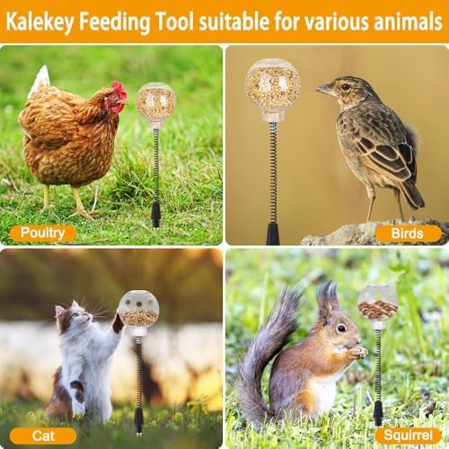 Kalekey 2 Pack Chicken Feeding Toy, Chicken Enrichment Toys with Spring and Ground Stake, Chicken Treat Dispenser Peck Toy for Hens Poultry Duck Birds Parrot Cat