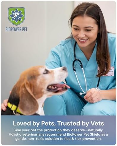 Shield Tag - Natural Flea & Tick Repellent Collar Tag for Dogs & Cats - Waterproof, Lasts 12 Months - Stainless Steel Pendant - Small/Regular Tag Bundle (1 Pack)