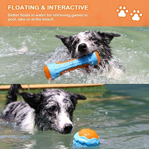 Dog Squeaky Pool Toys, Floating Interactive Fetch & Play for Beach, TPR