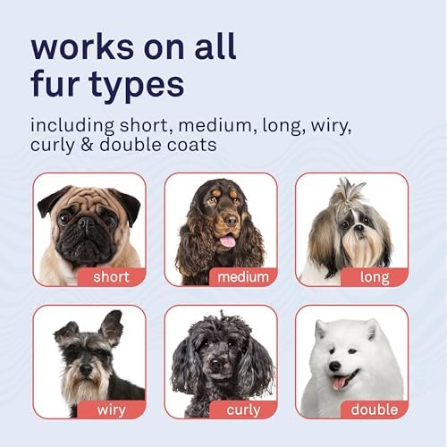 Petpost | Waterless Argan Oil Dog Shampoo Spray. Rinse-Free Cleaner & Deodorizer with Aloe & Safflower Oil. Moisturizes Skin & Softens Coat. 8 oz
