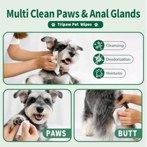 100 Count Pet Wipes, Plant-Based Hypoallergenic Pet Cleaning Wipes