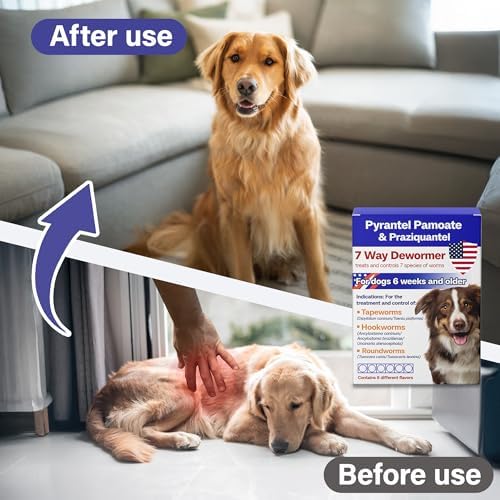 Dewormer for Dogs, Broad Spectrum for 7 Species of Worms, Pyrantel Pamoate & Praziquantel for Tapeworms, Hookworms, Roundworms & More