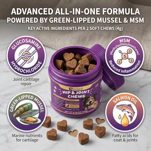 Hip and Joint Chews for Dogs - All-in-One Mobility Support with Glucosamine, MSM, Chondroitin & Green Lipped Mussel - 90CT Chicken Flavor - Helps with Dog Stiffness, Limping & Recovery.