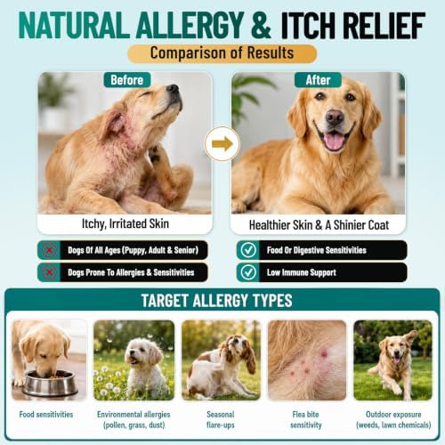 Dog Allergy Chews Omega 3 is Human Grade, Itch Relief for Dogs Multivitamin
