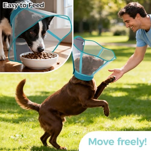 Elizabethan Collar for Dogs, Protective Cone for Surgical Recovery