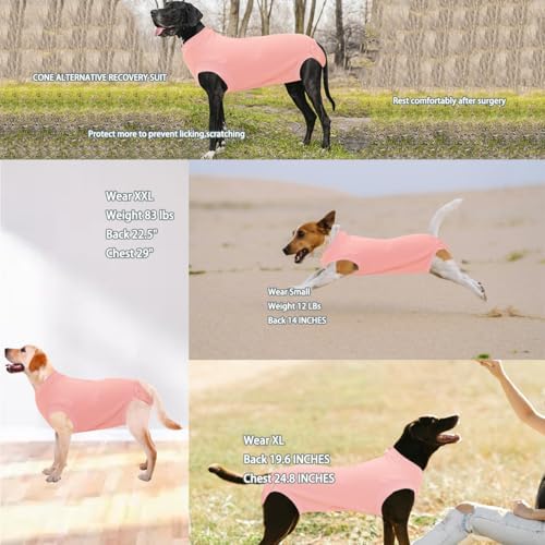 Recovery Suit for Female Dogs, Dog Cone Alternative After Spay