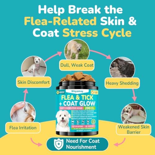 Woyamay Flea and Tick Prevention for Dogs, Soft Chews, Chicken Flavor